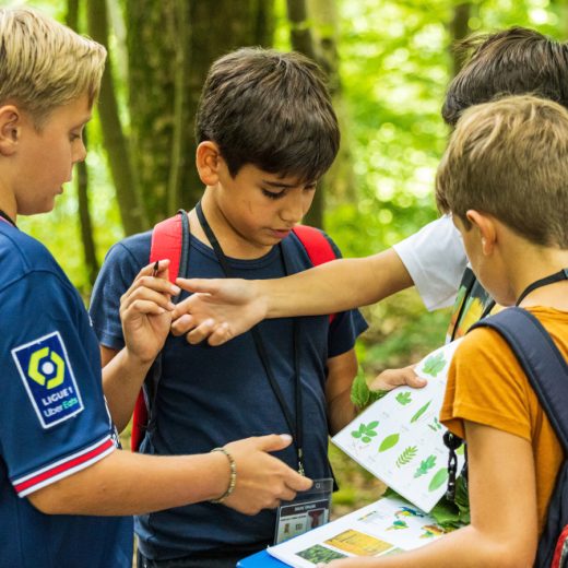 Join the Team at the Sedbergh International Summer School 2026