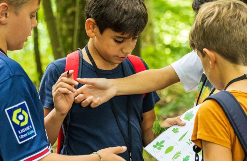 Join the Team at the Sedbergh International Summer School 2026