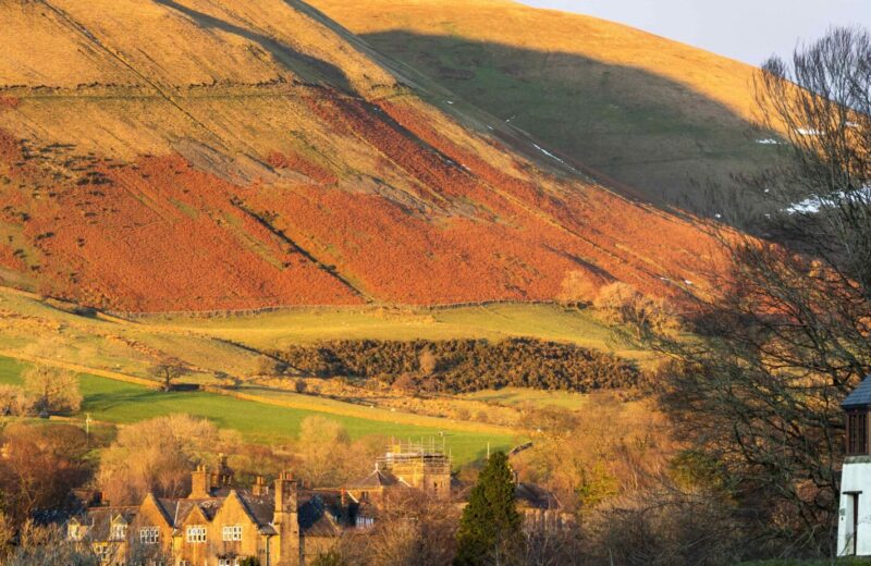 Floreat Sedberghia November 2025 Edition